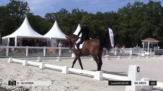 GN2019 | DR_05_Compiegne | Pro Elite Grand Prix - Grand National | Danielle OLIVEIRA | QSAAR DE VILLEMAGNE