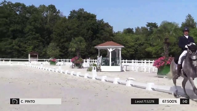 GN2019 | DR_05_Compiegne | Pro Elite Grand Prix - Grand National | Carlos PINTO | SULTAO MENEZES*DE LA GESSE