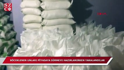 Böceklenen unları piyasaya sürmeye hazırlanırken yakalandılar