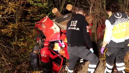 Tomruk yüklü kamyon dere yatağına devrildi: 2 yaralı