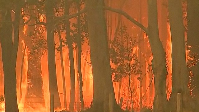 Sydney braces as Australia prepares for 'catastrophic' bushfires