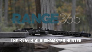 AR-15 Build Finished Gun: 450 Bushmaster Tiger Striped “Thumper”