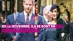 Kate Middleton et le prince William : ce rare geste qu'ils évitent d'habitude en public