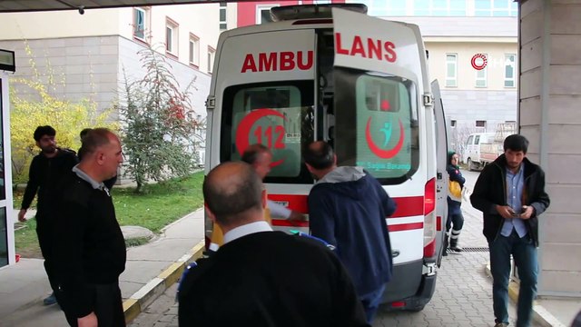 Erzurum’da ayı saldırısı...Ayının saldırdığı çobanın hayatını köpekleri kurtardı