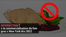 Interdiction à la commercialisation du foie gras à New York dès 2022