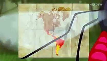 The bugs that lay eggs all over your body