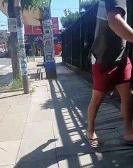 Aggressive Bird on the University