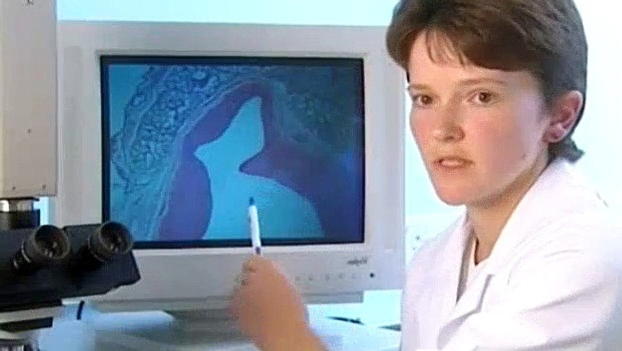 BBC - Horizon - 2001 - Cloning The First Human