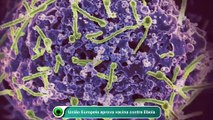 União Europeia aprova vacina contra Ebola