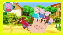Peppa Pig Eating Lollipop New Episodes With Spiderman VENOM HULK Finger Family Nursery Rhymes Py