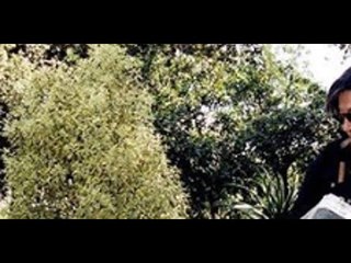 Jacques Dutronc, étrange destin, un producteur sauvé le ruine,