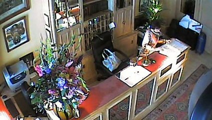 The Real Hustle S04E08