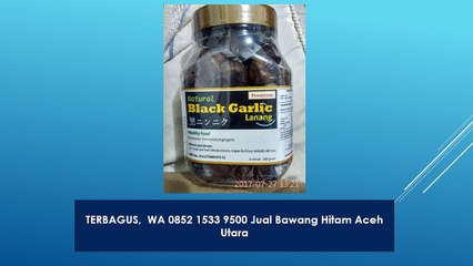 TERBAGUS,  WA 0852 1533 9500 Jual Bawang Hitam Aceh Utara