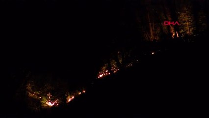 Giresun'da orman yangını