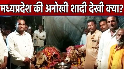 Madhya Pradesh के Sehore में Villagers ने कराई Unique Marriage | वनइंडिया हिंदी