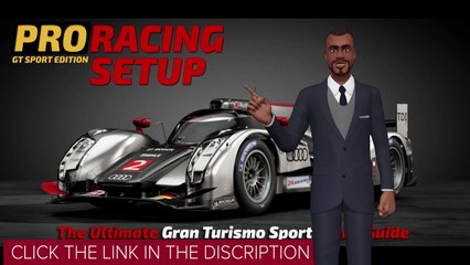 Pro Racing Setup_ Gt Sport Edition