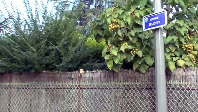 LES W-D.D. MICHOU NEWS - 20 OCTOBRE 2019 - PAU - 2ème PARTIE DUCOMPTE RENDU VISUEL DU FORUM CITOYEN DU 18 OCTOBRE - Aves DES ACACIAS ET JOLIOTTE - QUARTIER DU BUISSON