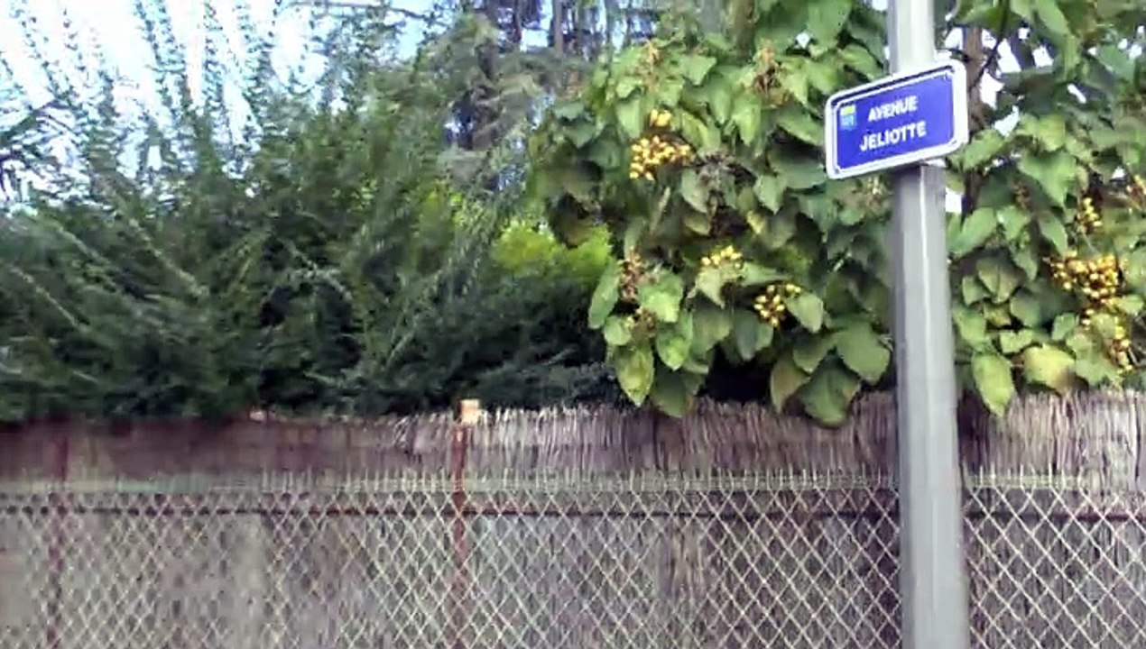 LES W-D.D. MICHOU NEWS - 20 OCTOBRE 2019 - PAU -  2ème PARTIE DUCOMPTE RENDU VISUEL DU FORUM CITOYEN DU 18 OCTOBRE - Aves DES ACACIAS ET JOLIOTTE - QUARTIER DU BUISSON