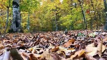 Amanos Dağları'nda sonbahar manzaraları