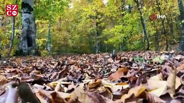 Amanos Dağlarında sonbahar manzaraları