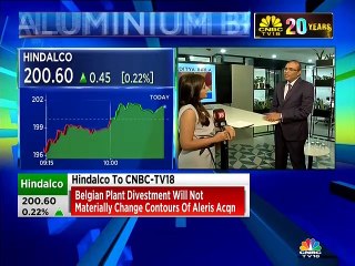 Satish Pai of Hindalco on Duffel plant divestment