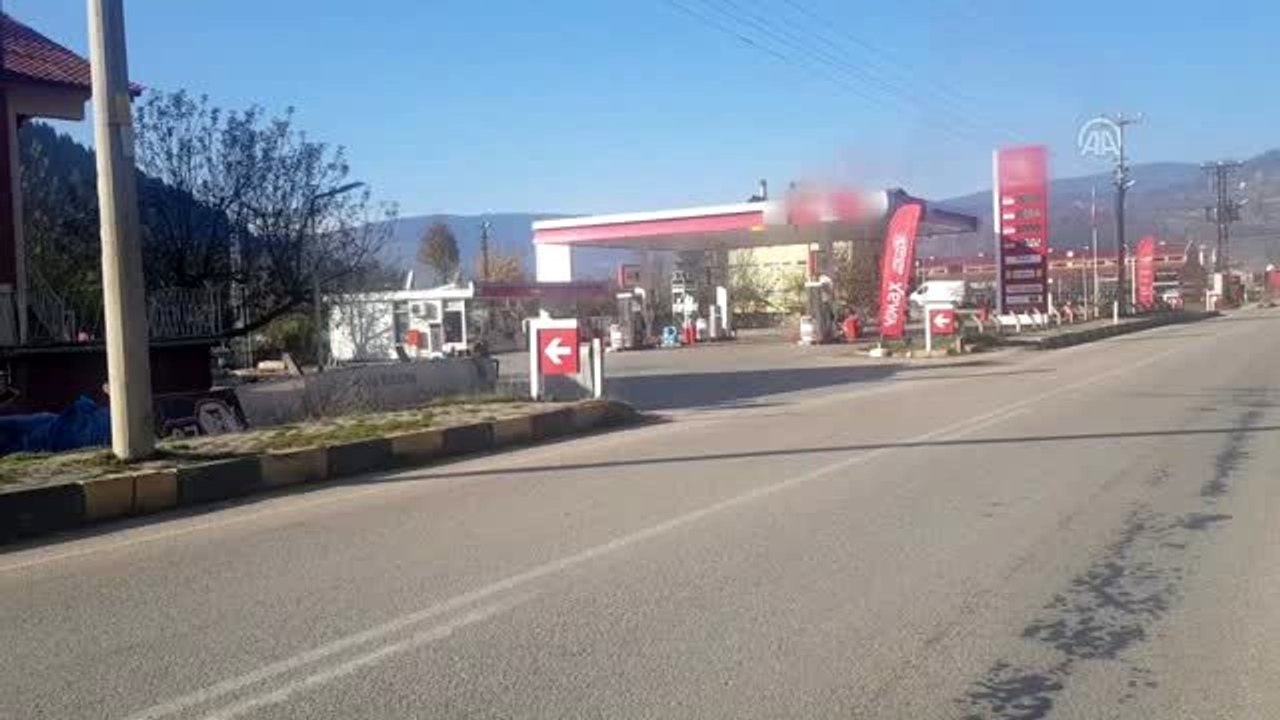 Akaryakıt istasyonuna giren ayı görüntülendi - KASTAMONU