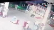 Aç kalan ayı akaryakıt istasyonuna indi... O anlar kamerada