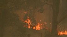 Los incendios descontrolados siguen arrasando el este de Australia