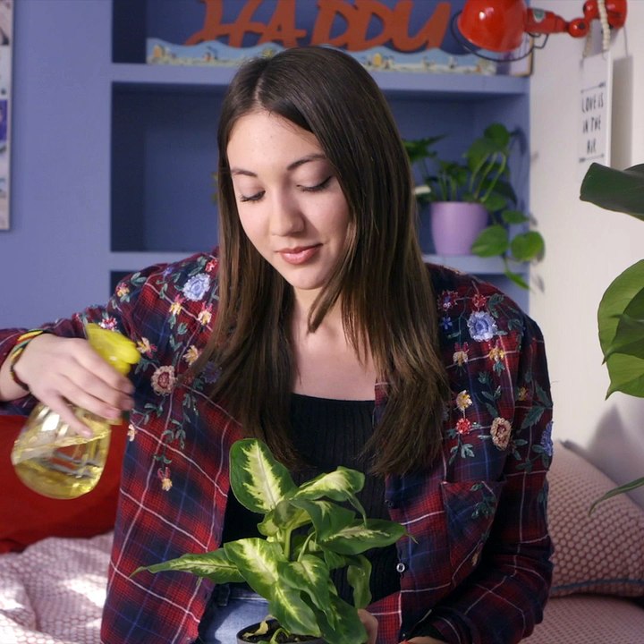 Connaissez-vous les vraies  bonnes idées pour vivre  mieux dans la maison ?