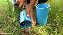 Easy Snake Trap - Boy Build Underground Python Trap Using Pipe PVC And Deep Hole