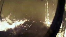 Bombeiros australianos enfrentam o inferno das chamas para salvarem vidas