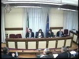 Roma - Federalismo fiscale, audizione ministro Boccia (13.11.19)