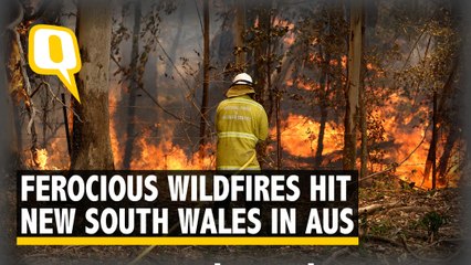 Wildfires Hit Australia's NSW: 200 Homes Destroyed, Intensity Level 'Emergency'