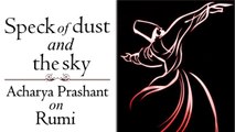 The speck of dust and the sky, you are both || Acharya Prashant (2018)
