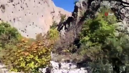 Kıran-5 Operasyonu'nda Muş'ta teröristlere ait sığınak ve depolar imha edildi