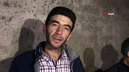 Yeni doğan beyaz dişi manda görenleri şaşırtıyor