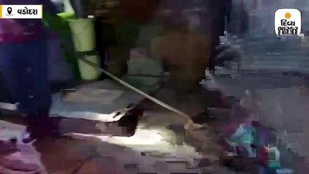 બીલ ગામમાં ઘરમાં મગર ઘૂસી આવતા પરિવારનો આખી રાત ઉજાગરો, વન વિભાગે મગરને રેસ્ક્યૂ કર્યો