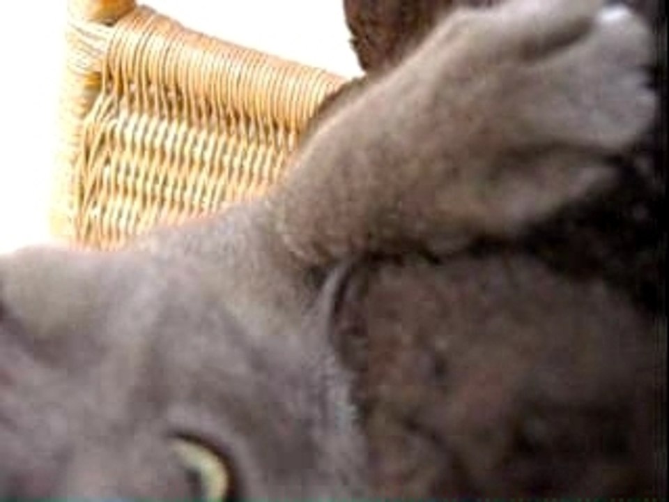Mimi! (2)