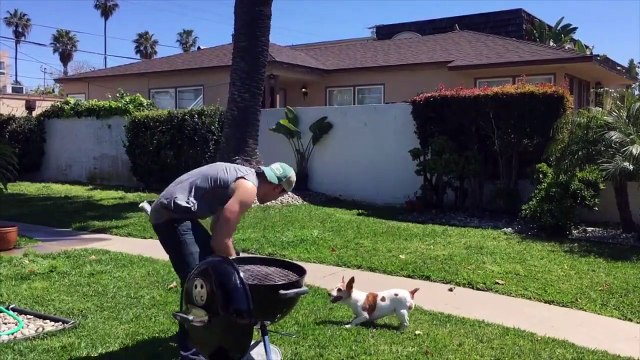 Cedar Plank Salmon | Keto FAT Sauce | Low Carb Salmon Recipe |