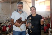 Karı-koca iş hayatını bırakıp köyde yumurta üretmeye başladı! Şimdi huzurla yaşıyorlar