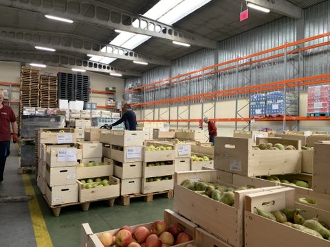 El Banco de Alimentos de Valladolid presenta su Gran Recogida