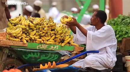 O Πρωθυπουργός του Σουδάν στο EURONEWS