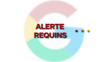 Nouvelle découverte : un requin à la tête bien étrange trouvé en plein océan