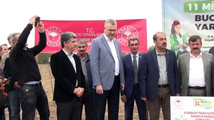 Karacabey meyve fidanı üssü oluyor