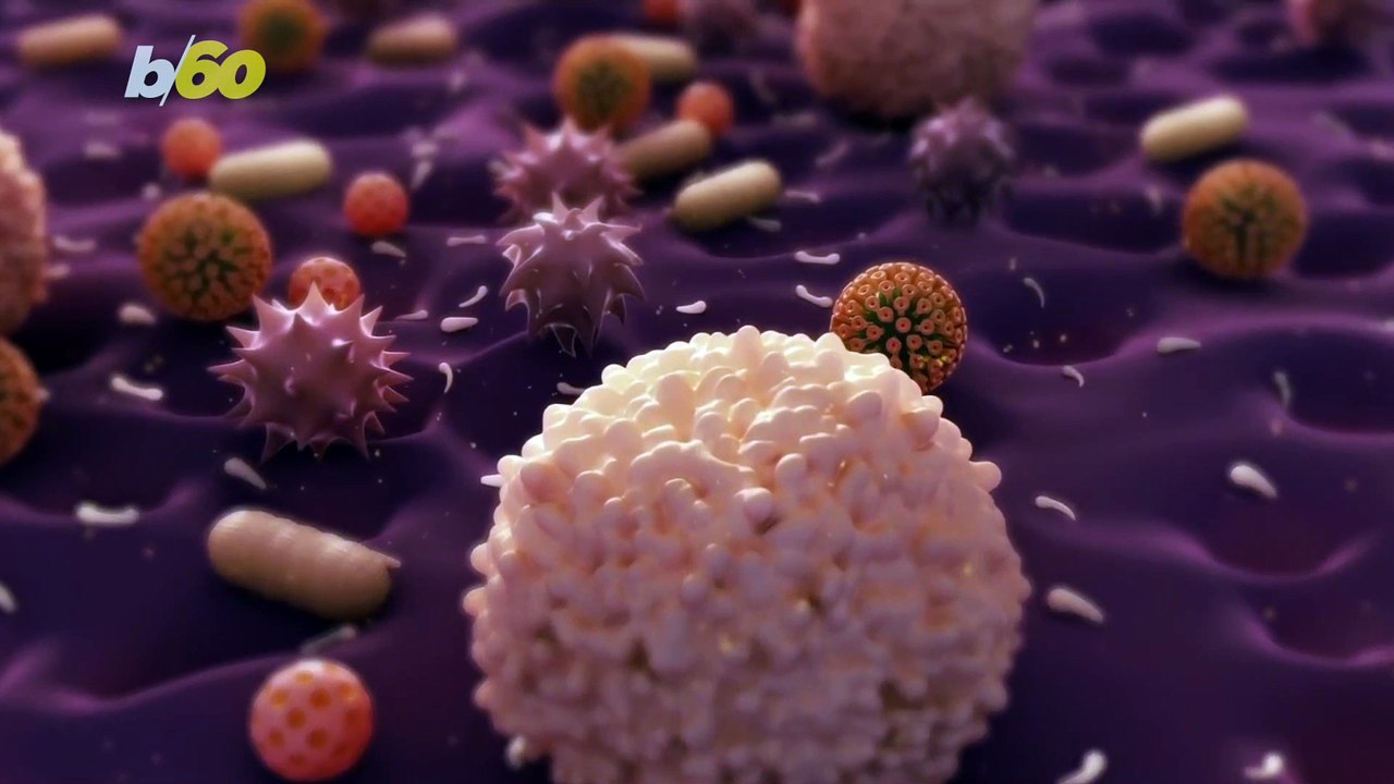 Bacteria May Join Forces to Become a Flesh-Eati...