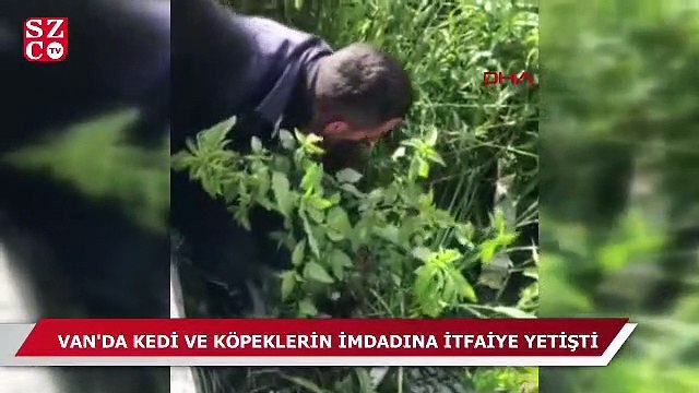 Van'da kedi ve köpeklerin imdadına itfaiye ekipleri yetişti