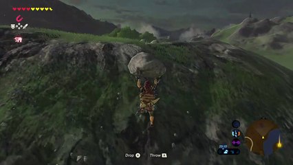 The Legend of Zelda: Breath of the Wild/korok seed 04