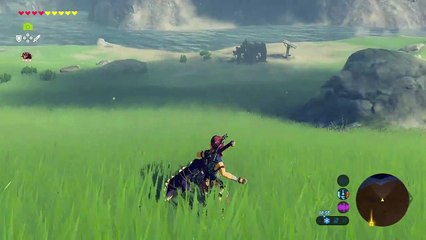 The Legend of Zelda: Breath of the Wild/korok seed 03