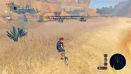 The Legend of Zelda: Breath of the Wild/korok seed 08