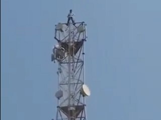 Watch: Man climbs mobile tower and urges Shiv Sena not to form government with Congress-NCP